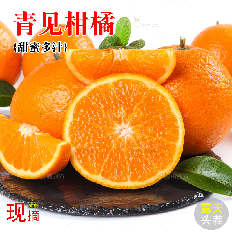 白底上放着青见柑橘