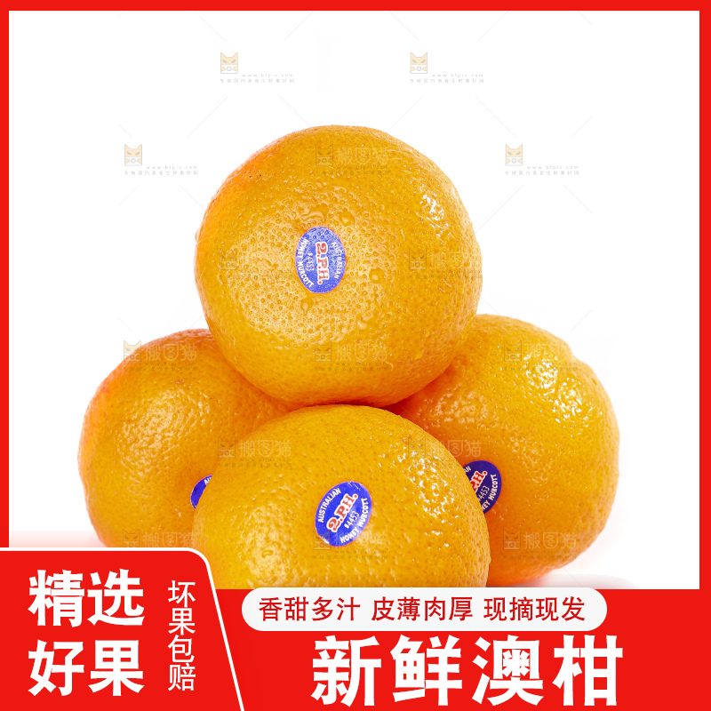 白底上放着新鲜澳柑