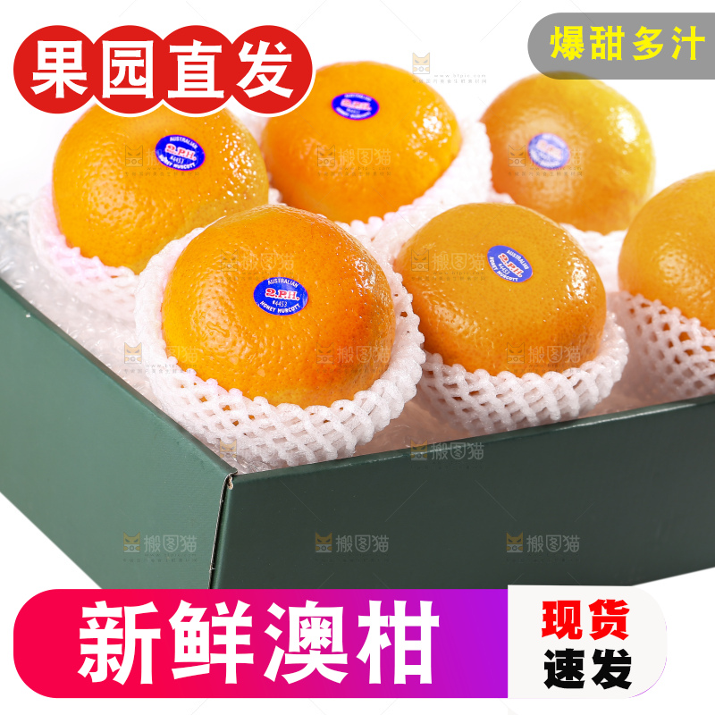 白底上放着新鲜澳柑