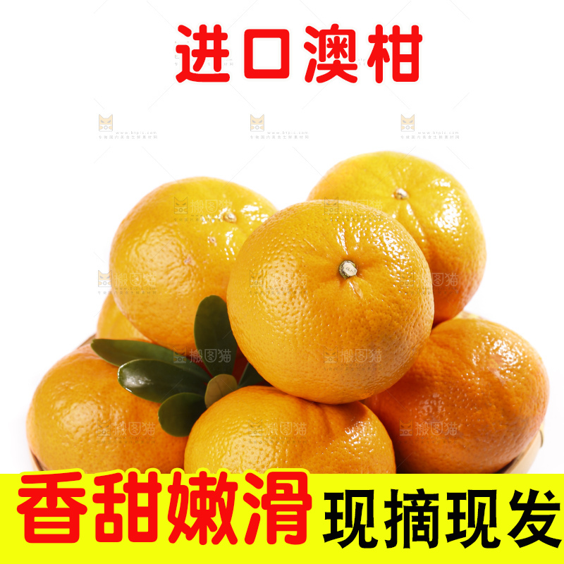 白底上放着新鲜澳柑