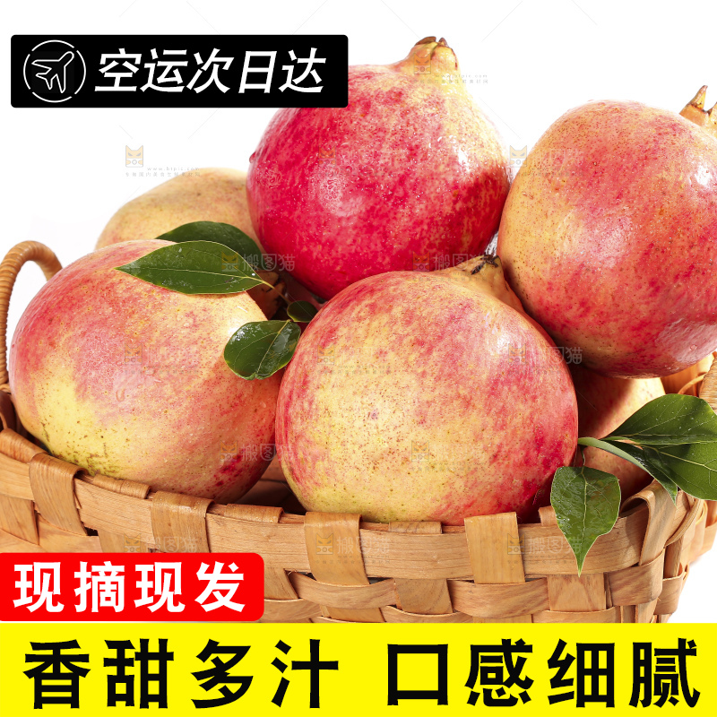 白底上的突尼斯软籽石榴