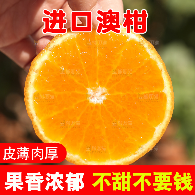 手里拿着进口澳柑