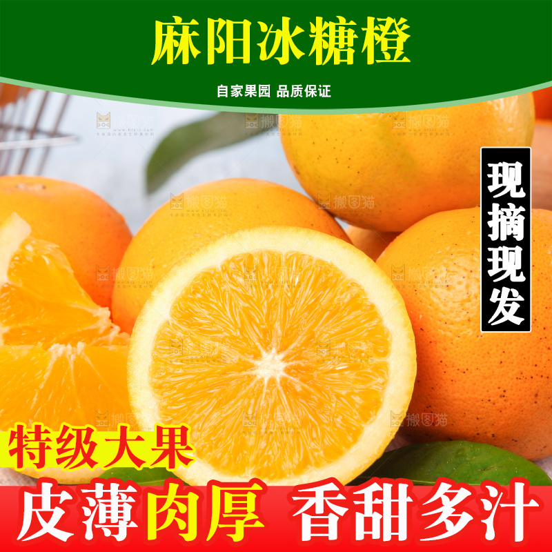 浅底上的麻阳冰糖橙