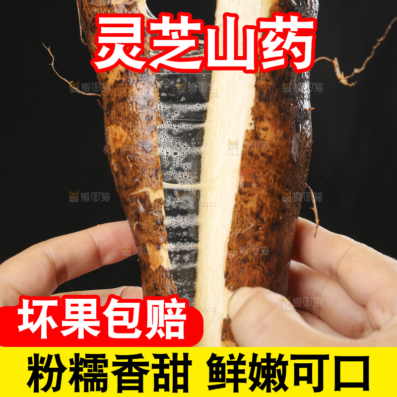 手里拿着拉丝灵芝山药