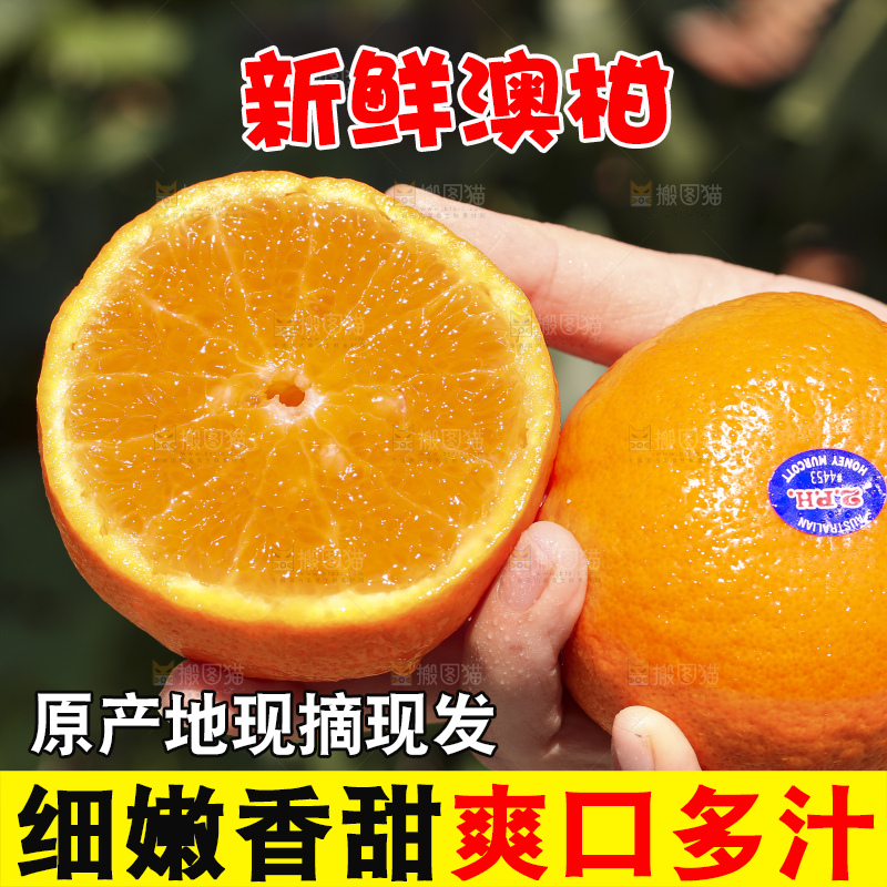 手里拿着进口澳柑