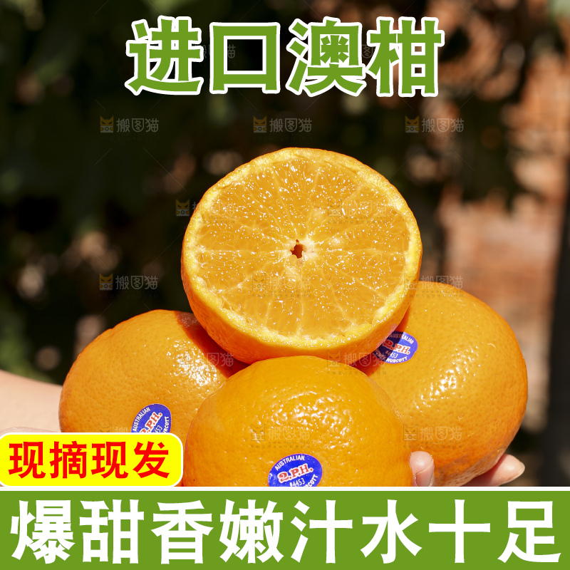 手里拿着进口澳柑