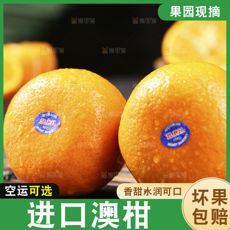 深底上的澳柑