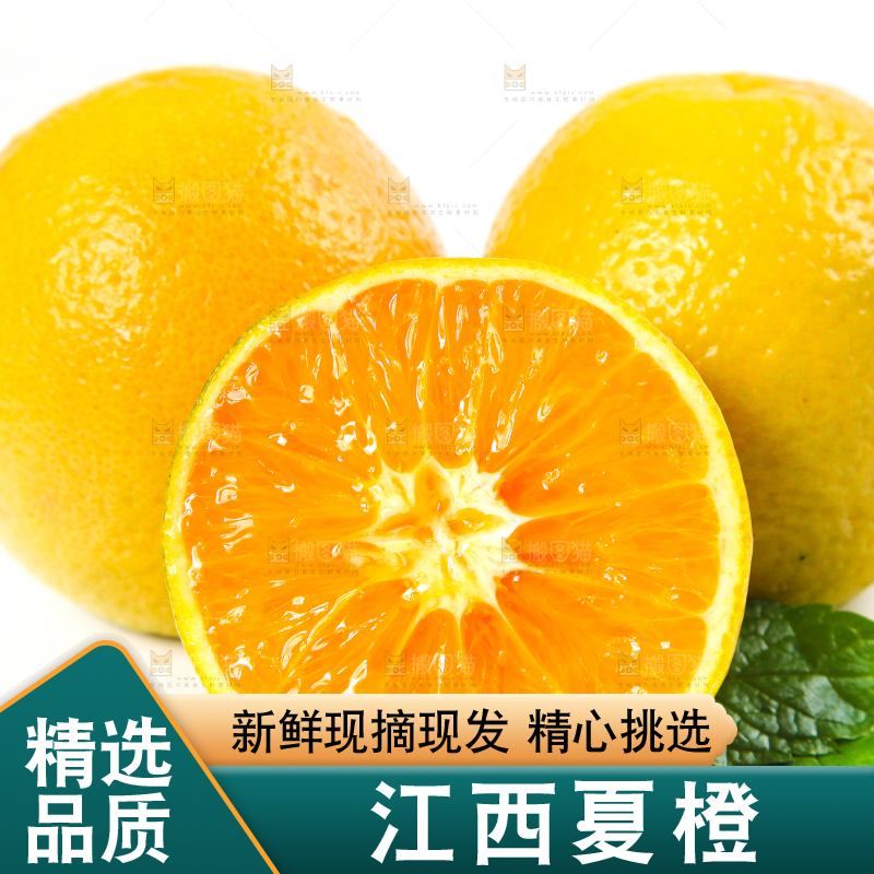 白底上放着的夏橙