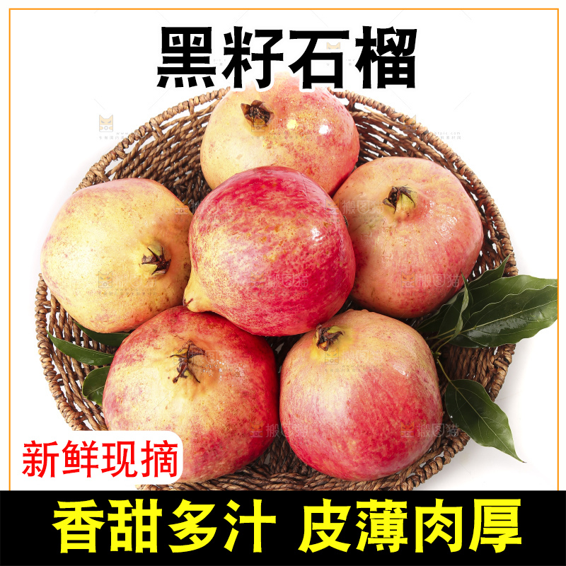 白底上的突尼斯软籽石榴
