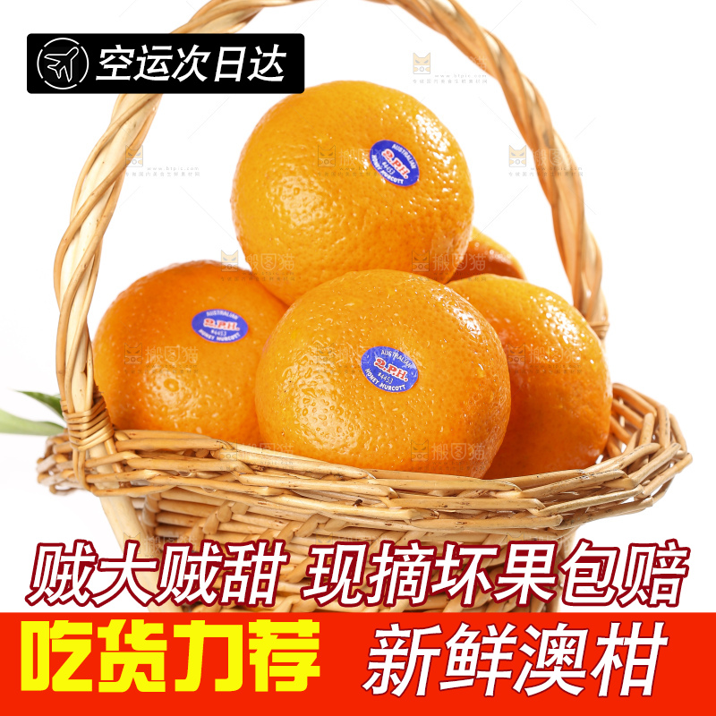 白底上放着新鲜澳柑
