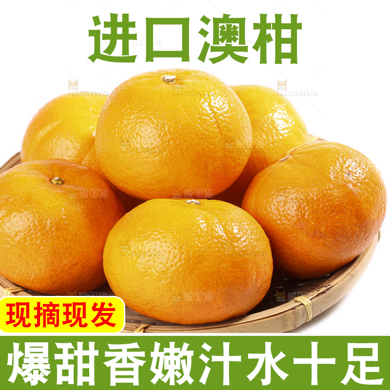 白底上放着新鲜澳柑