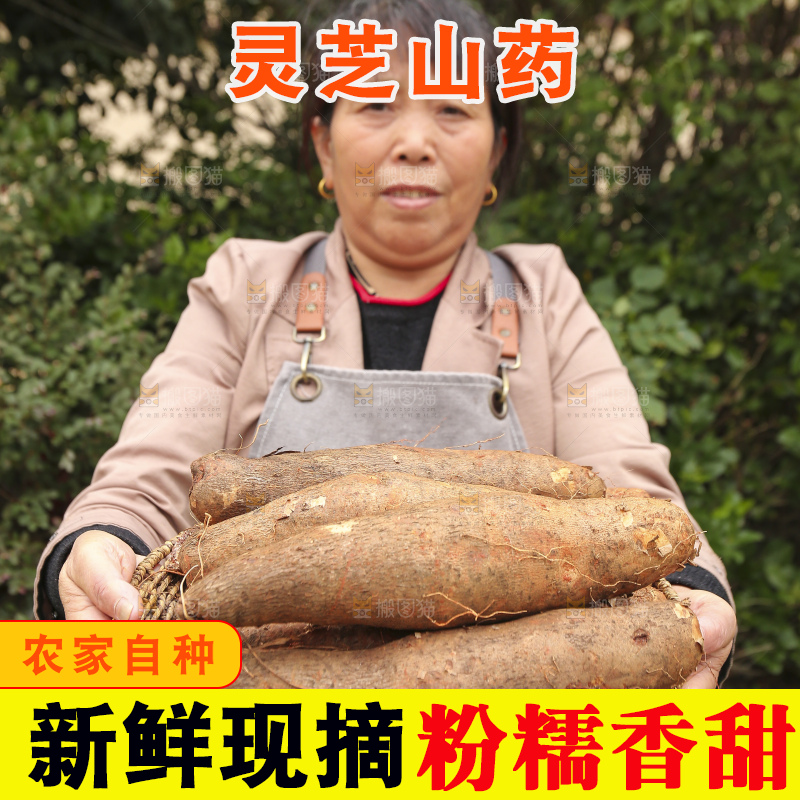 手里拿着灵芝山药