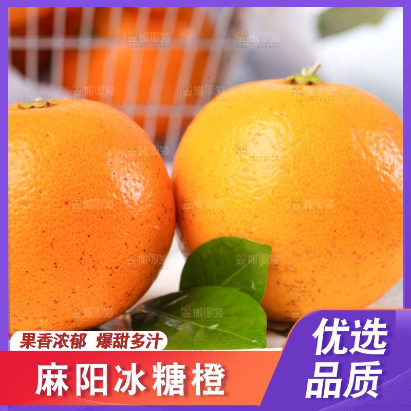 浅底上的麻阳冰糖橙
