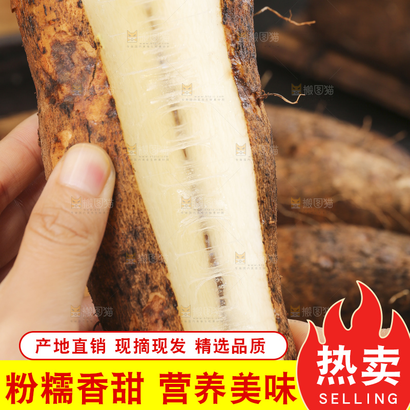 深底上的灵芝山药