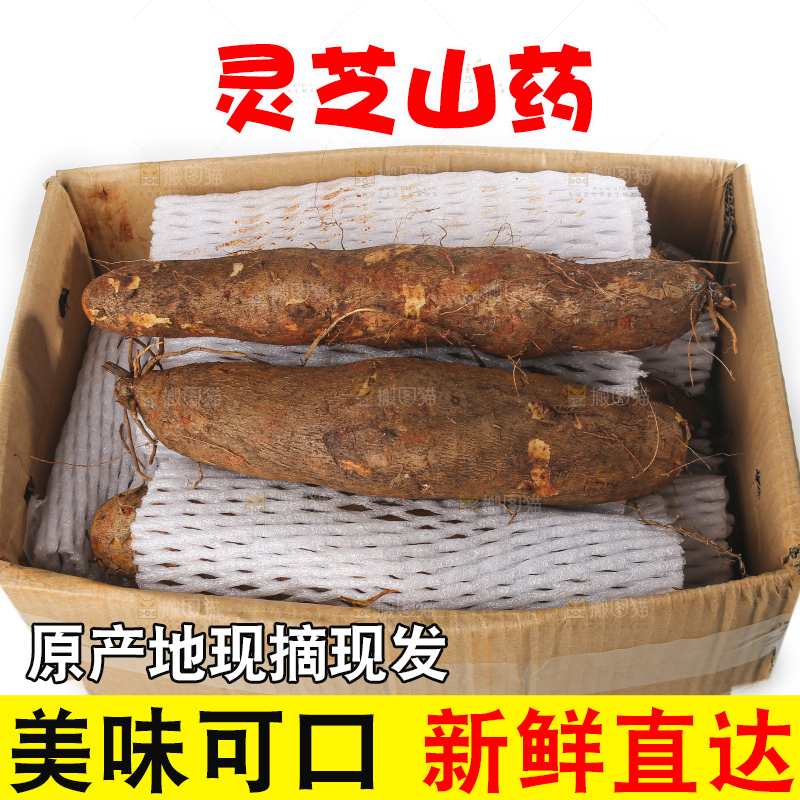 白底上放着灵芝山药