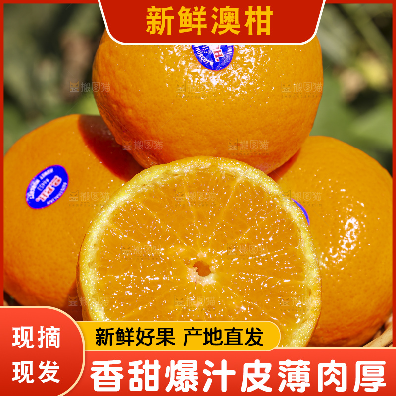 手里拿着进口澳柑