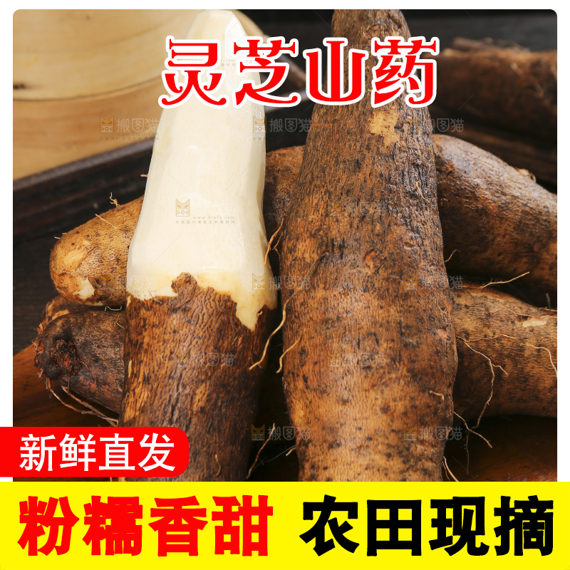 深底上的灵芝山药
