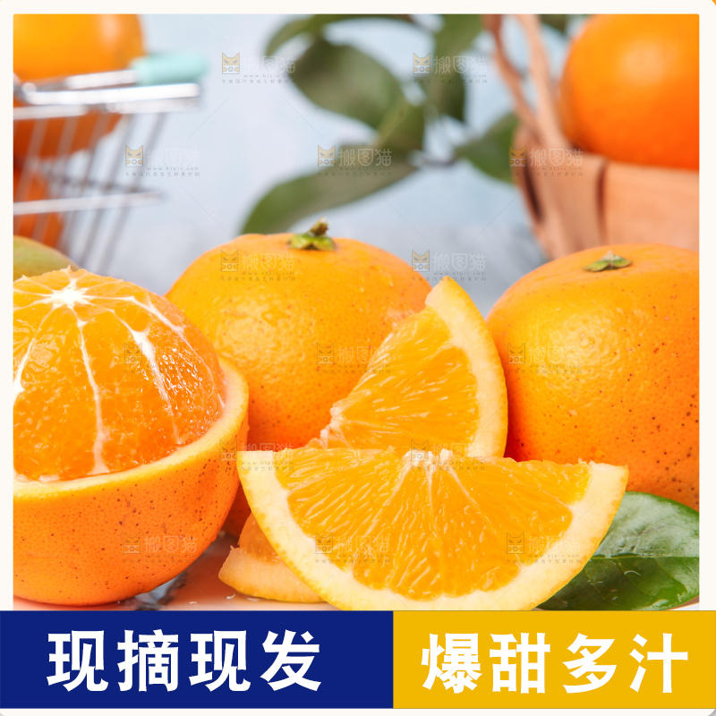 浅底上的麻阳冰糖橙