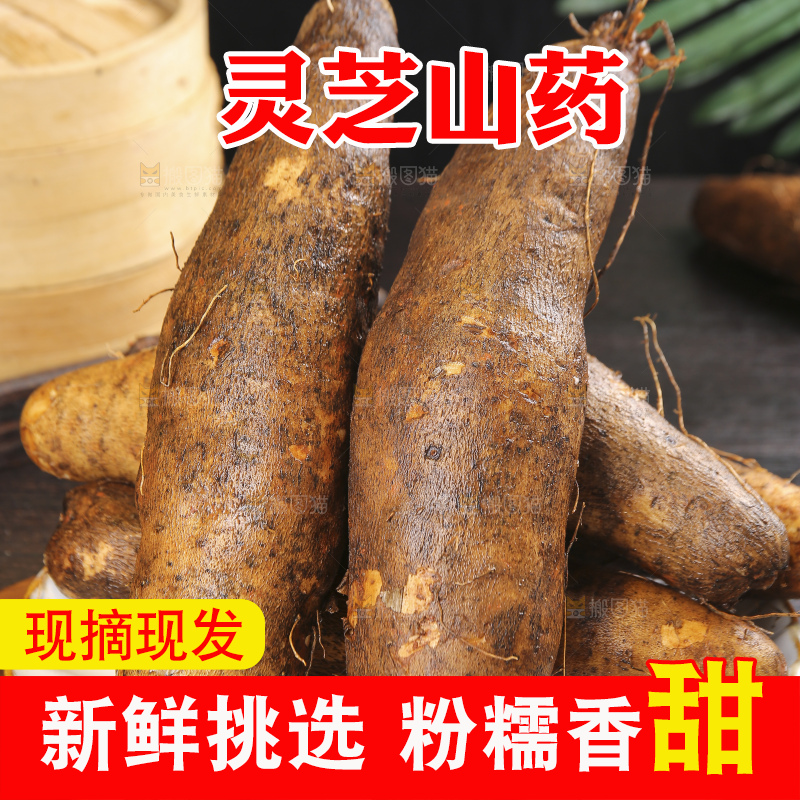 深底上的灵芝山药