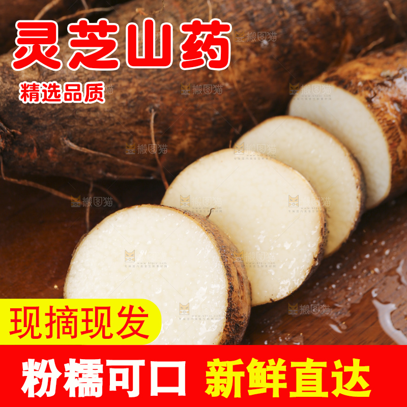 深底上的灵芝山药