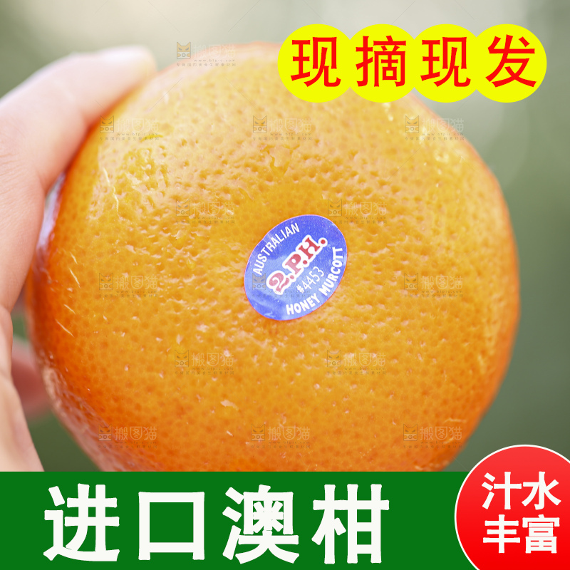 手里拿着进口澳柑