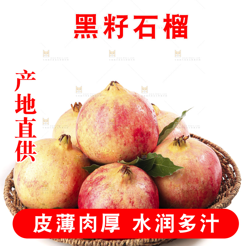 白底上的突尼斯软籽石榴