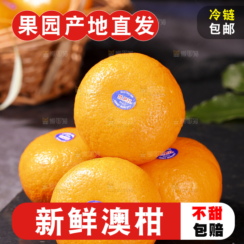 深底上的澳柑