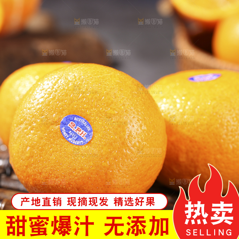 深底上的澳柑