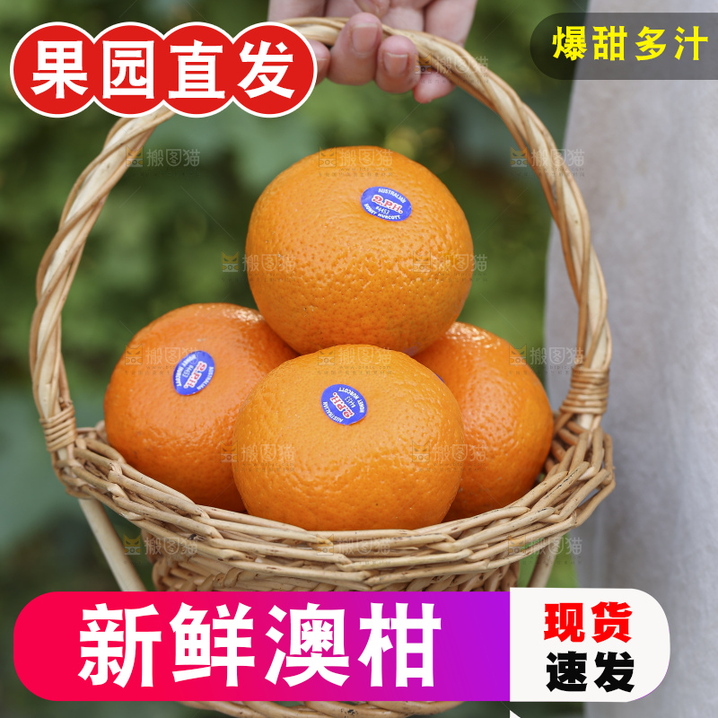 手里拿着进口澳柑