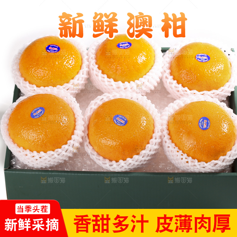 白底上放着新鲜澳柑