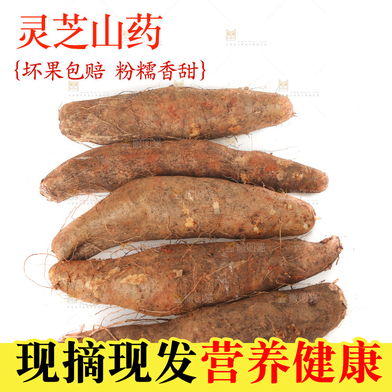 白底上放着灵芝山药