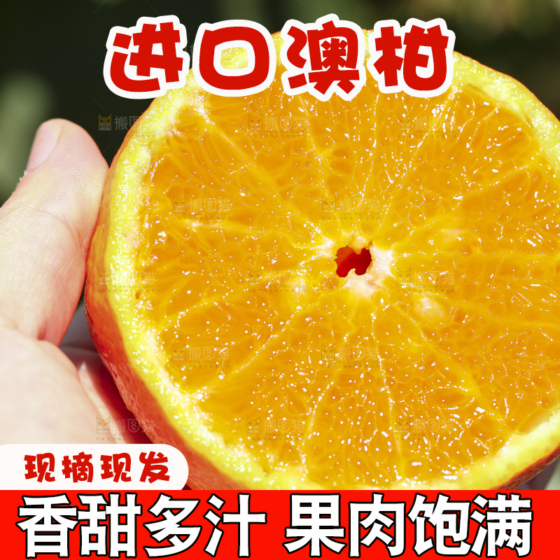 手里拿着进口澳柑