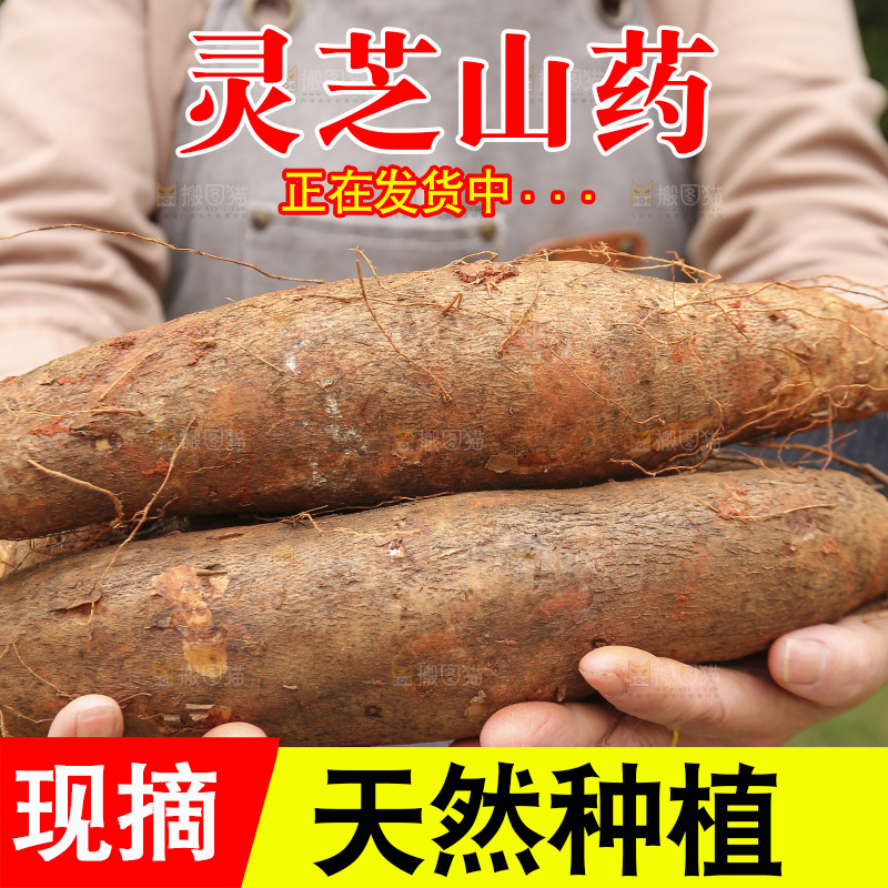 手里拿着灵芝山药
