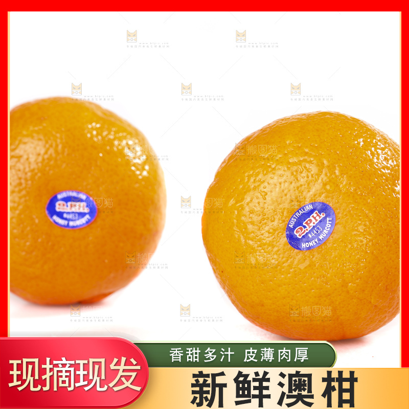 白底上放着新鲜澳柑