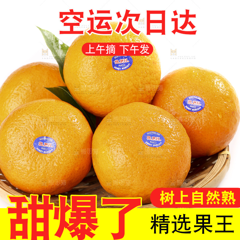 白底上放着新鲜澳柑