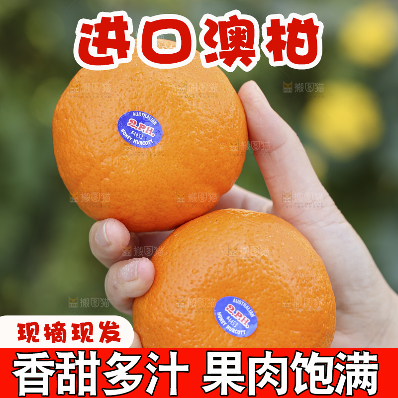 手里拿着进口澳柑