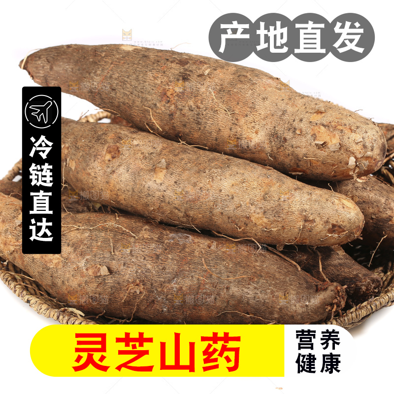 白底上的云南灵芝山药