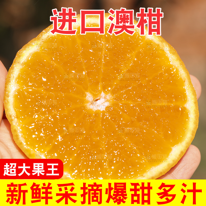手里拿着进口澳柑
