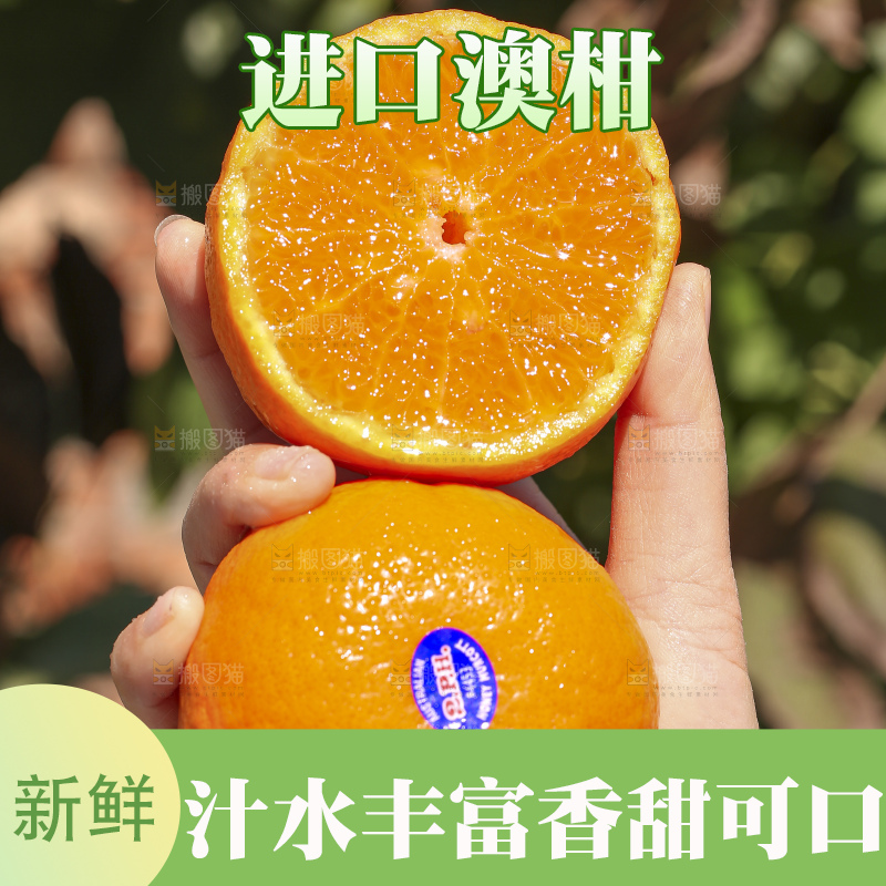 手里拿着进口澳柑