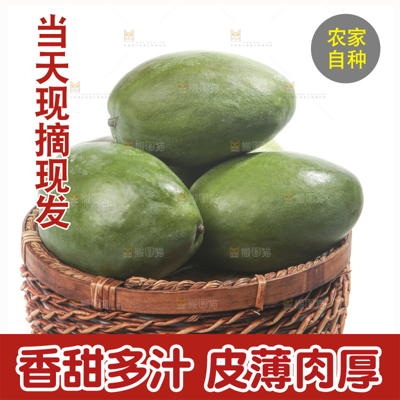 白底上的青皮凯特芒