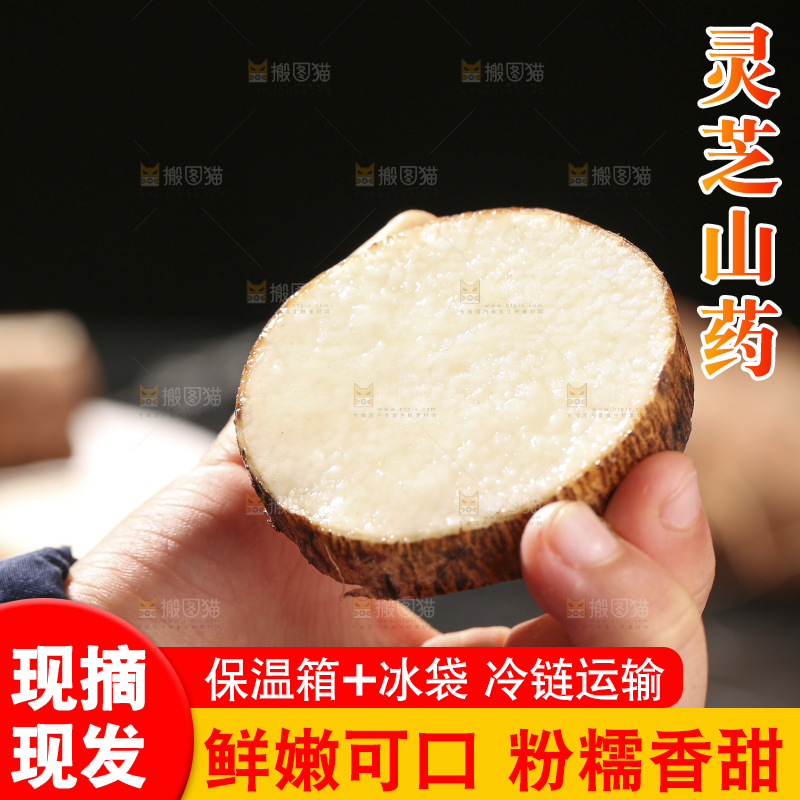 手里拿着灵芝山药