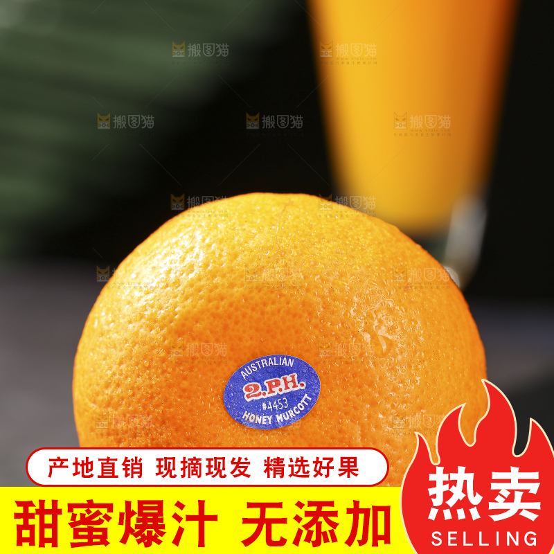 深底上的澳柑