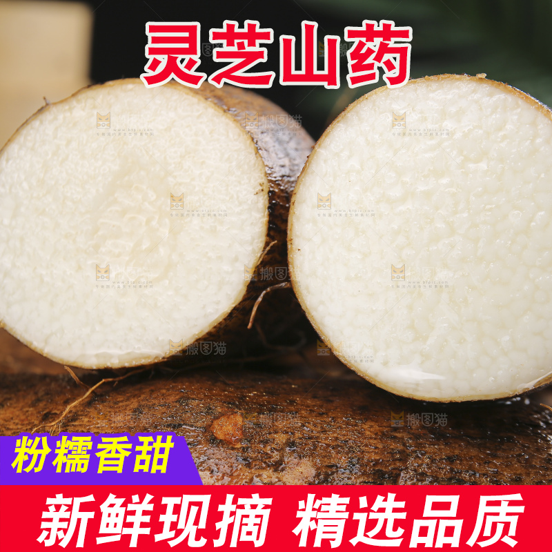深底上的灵芝山药