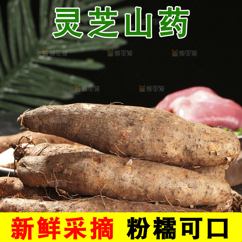 深底上放着灵芝山药