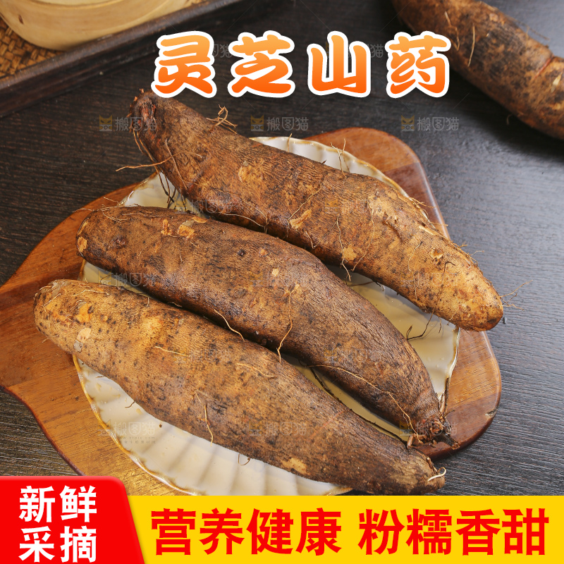 深底上的灵芝山药