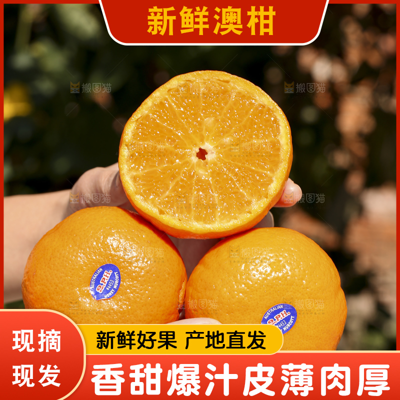 手里拿着进口澳柑