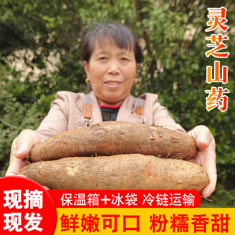 手里拿着灵芝山药
