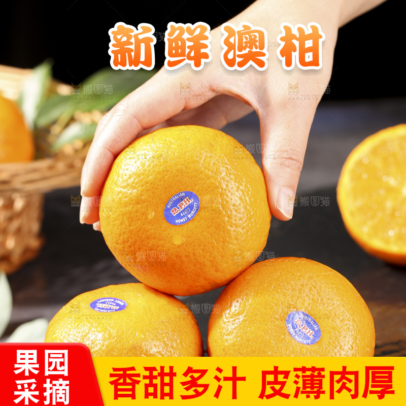 深底上的澳柑