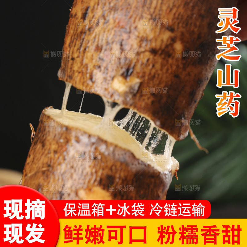 深底上的灵芝山药