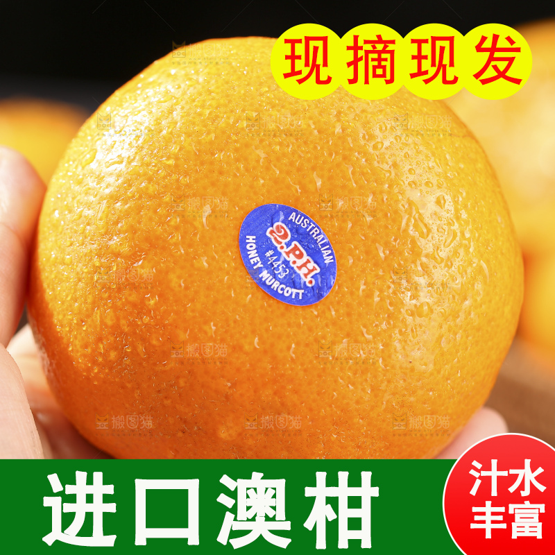 深底上的澳柑